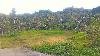 Agricultural Land for Sale in Naga, Cebu